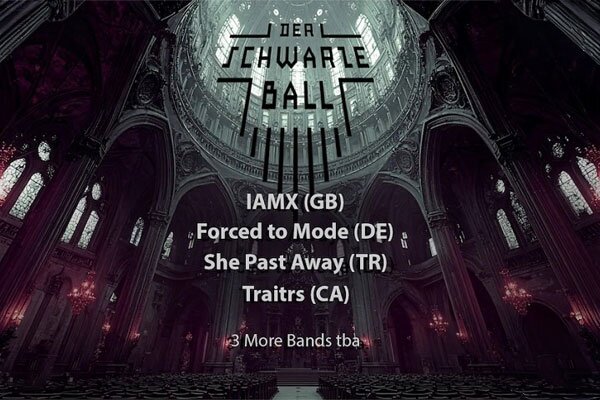 Der schwarze Ball