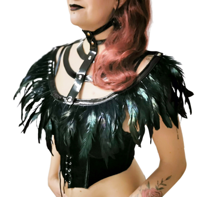 Vinyl cage collar Cyber Raven with feathers