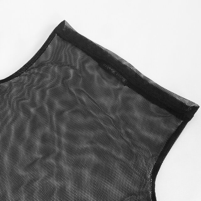 Transparent Mesh Long Sleeve with Turtle Neck