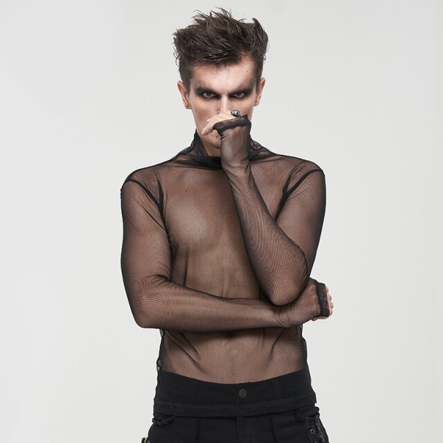 Transparent Mesh Long Sleeve with Turtle Neck